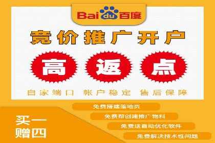 百度竞价代运营公司成功案例分析